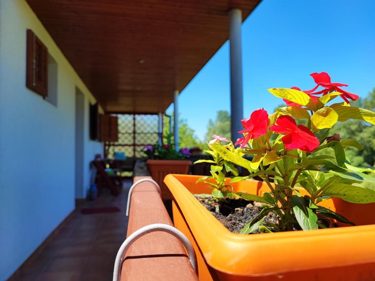 Apartman Dunav Aljmas Экстерьер фото